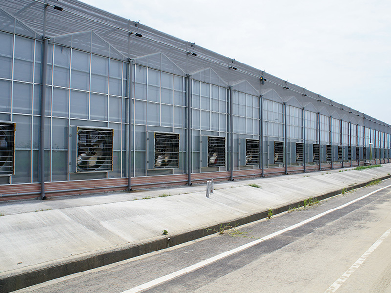 葫芦岛市玻璃大棚空中草莓 - 一站式服务